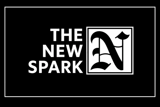 Logo The New Spark